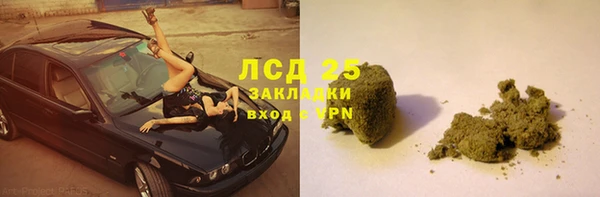 ГАЛЛЮЦИНОГЕННЫЕ ГРИБЫ Баксан