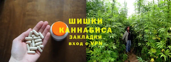 ГАЛЛЮЦИНОГЕННЫЕ ГРИБЫ Баксан